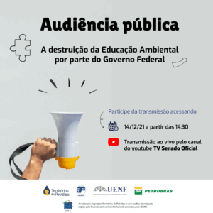 A audiência pública